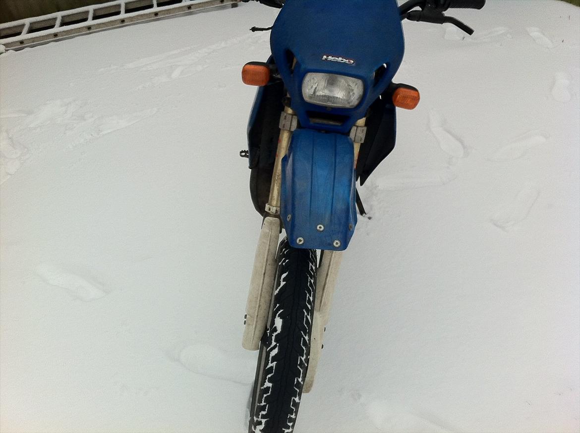 Suzuki SMX billede 9