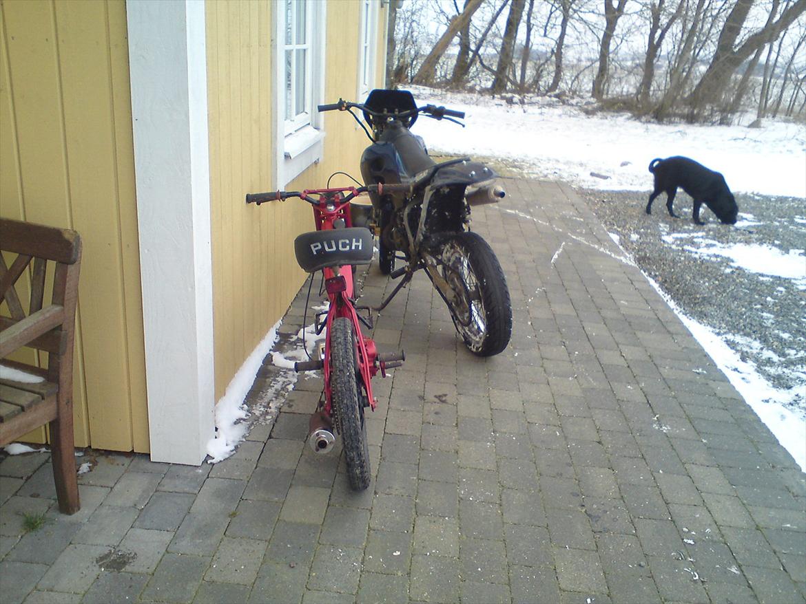 Puch Maxi k DS billede 12