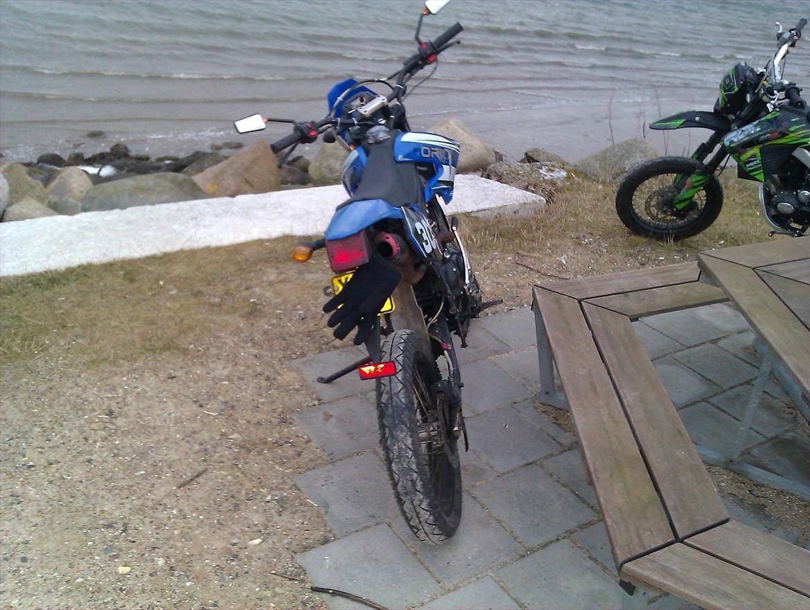 Apollo Orion   30 billede 6