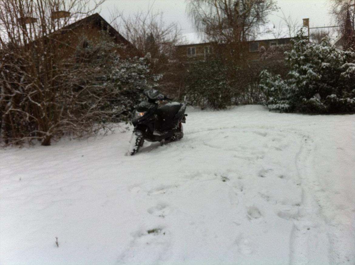 CPI oliver city billede 5