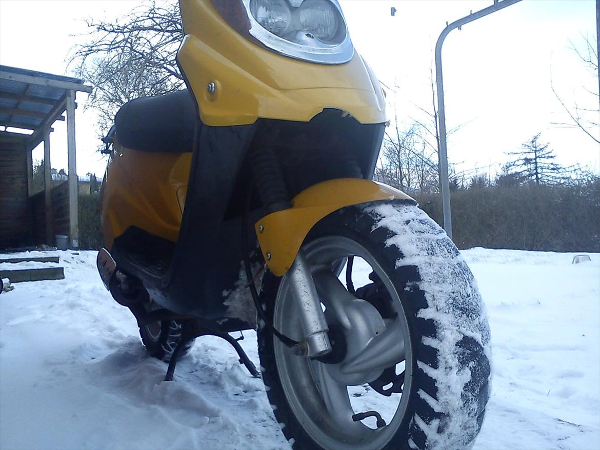 PGO Hot 50 billede 6