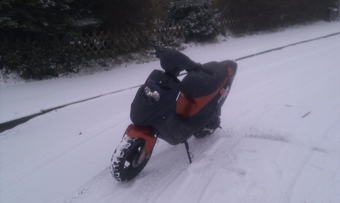 PGO Hot 50 billede 1