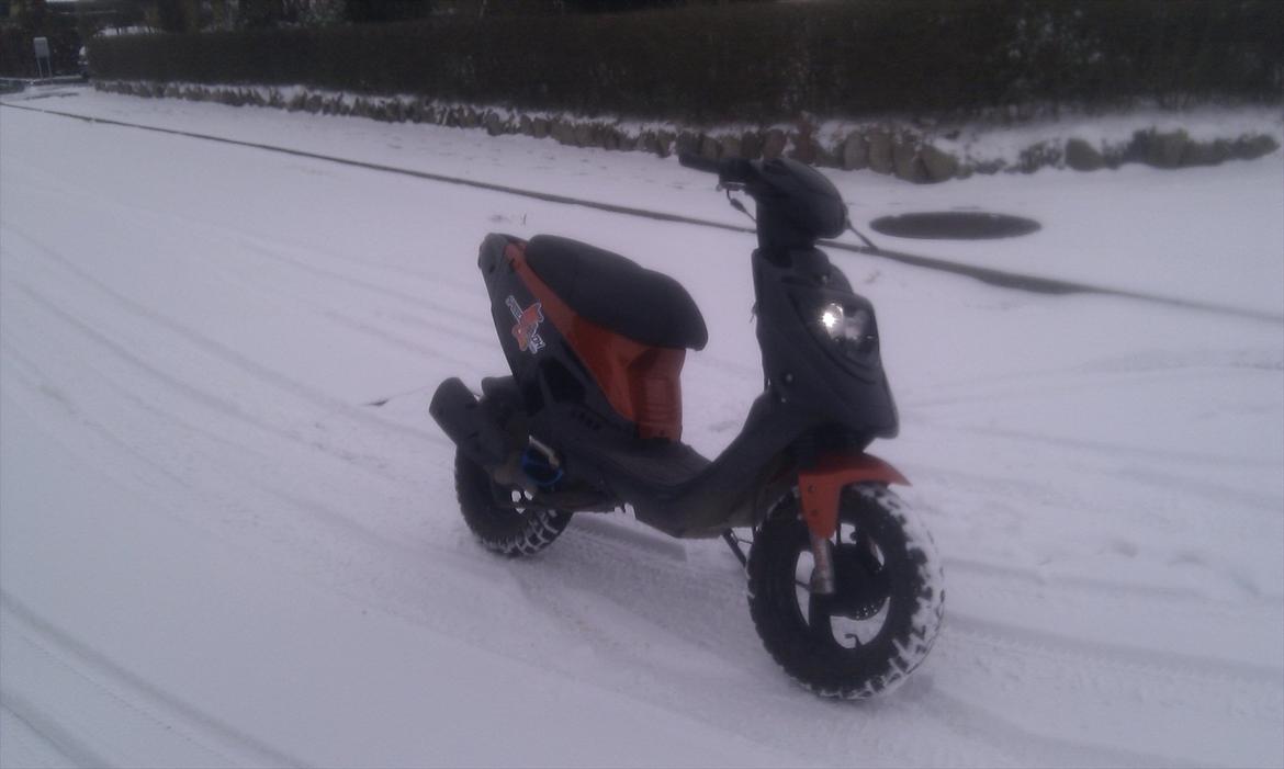 PGO Hot 50 billede 2