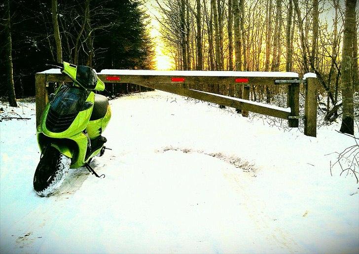 Aprilia sonic billede 7