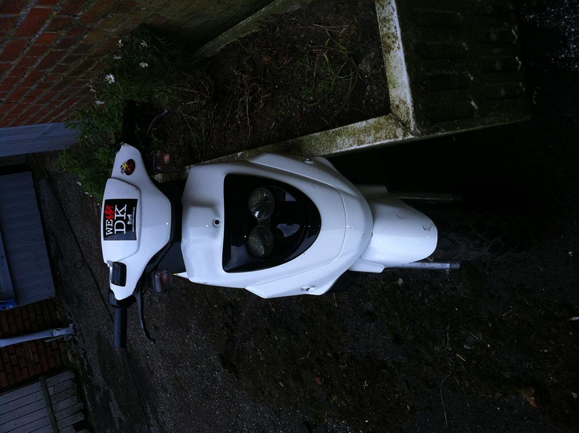 PGO Hot 50 billede 3