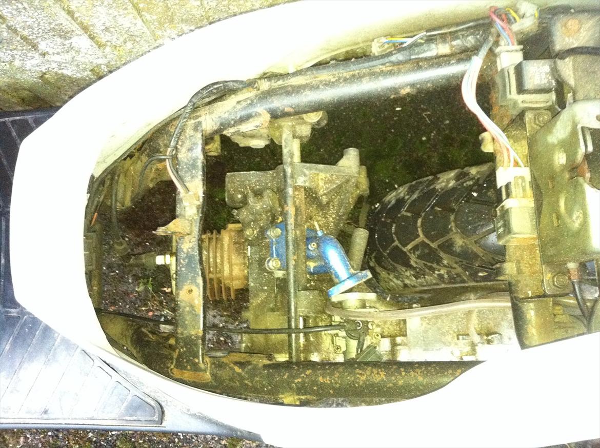 PGO Hot 50 billede 6