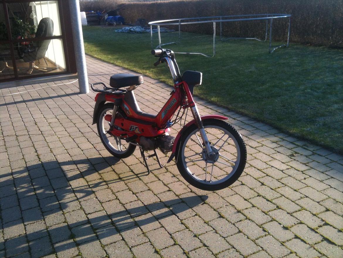 Puch Maxi P1 billede 10
