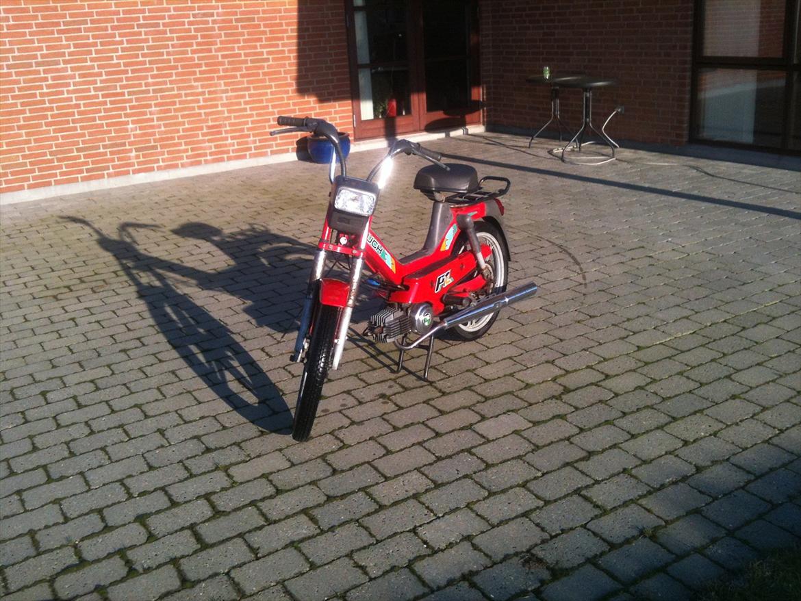 Puch Maxi P1 billede 14