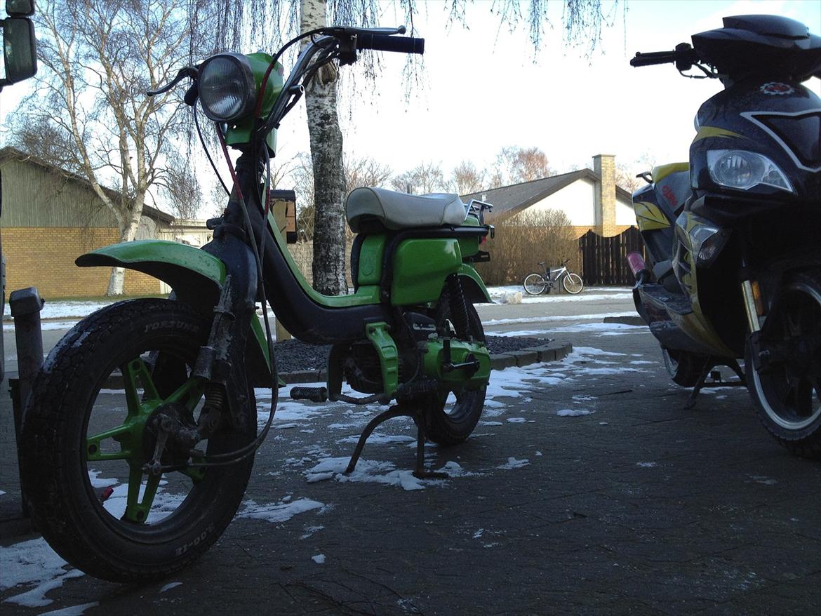 Suzuki Fz 50 billede 1