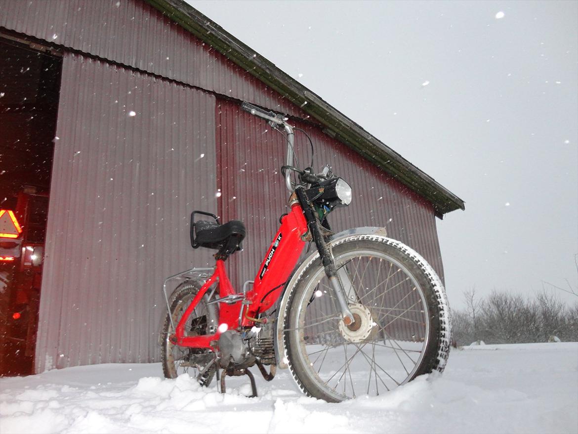 Puch Maxi k - min fine Puch billede 1