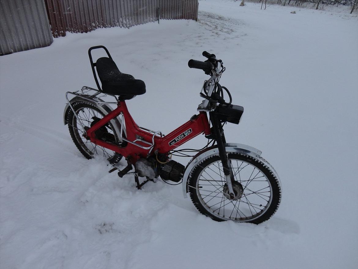 Puch Maxi k billede 2