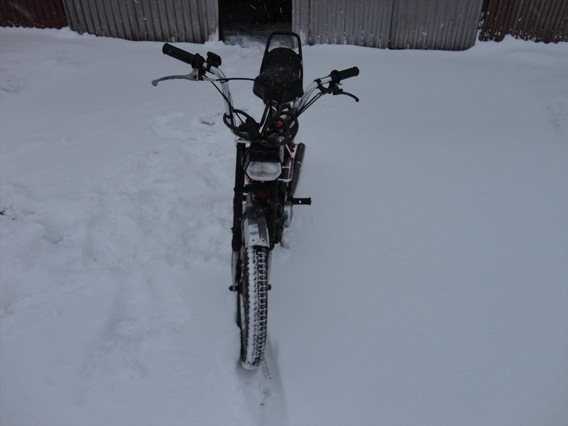 Puch Maxi k billede 5