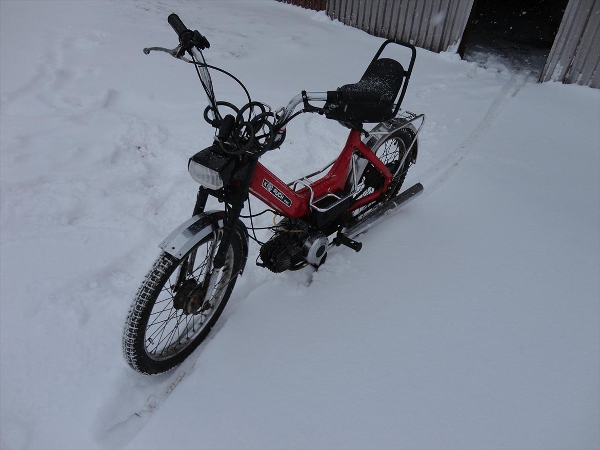 Puch Maxi k billede 6