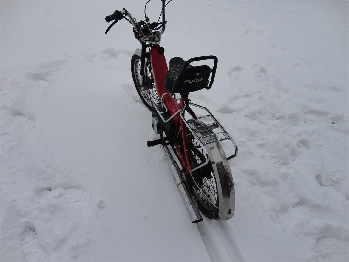 Puch Maxi k billede 8