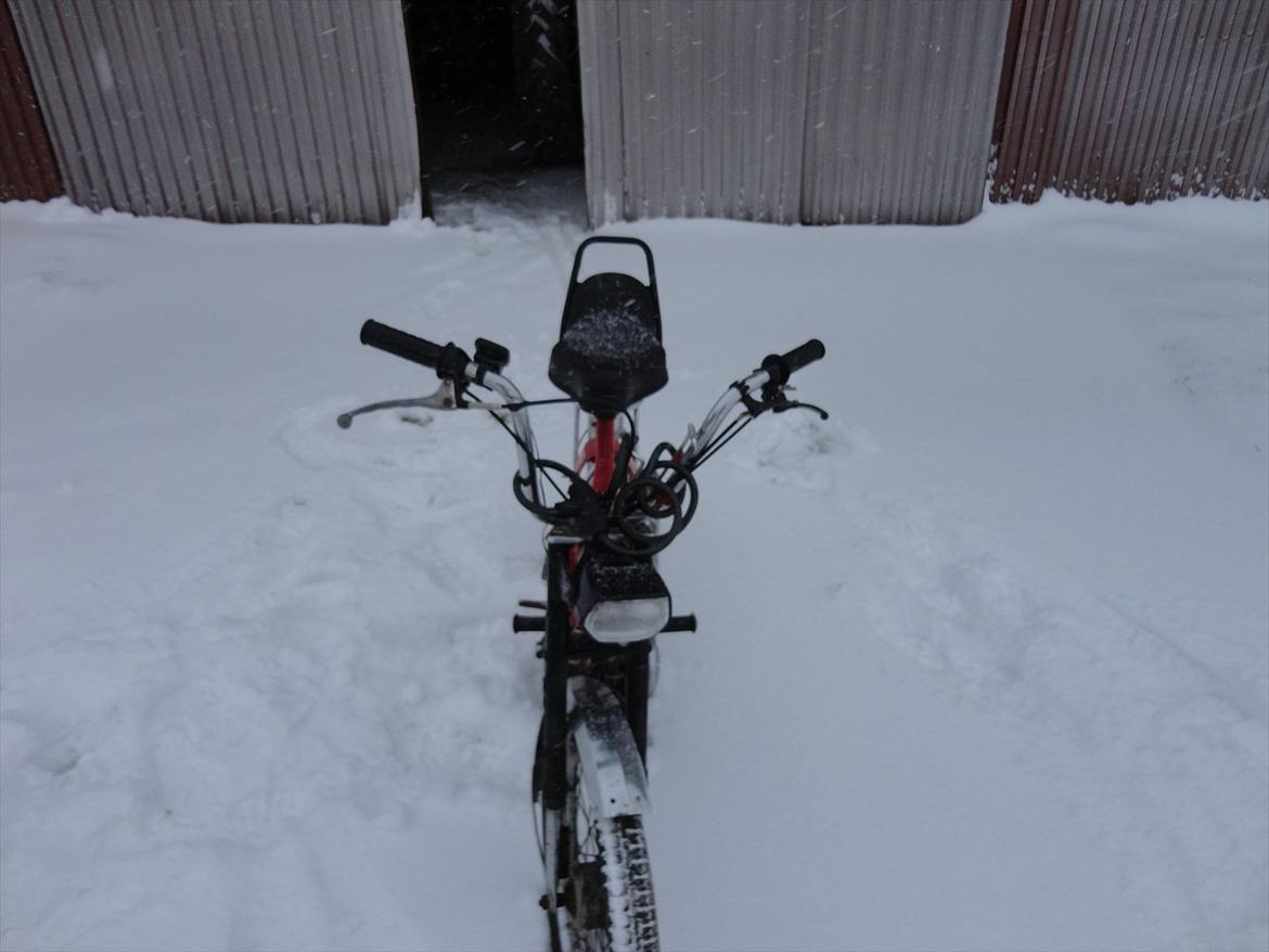 Puch Maxi k billede 10