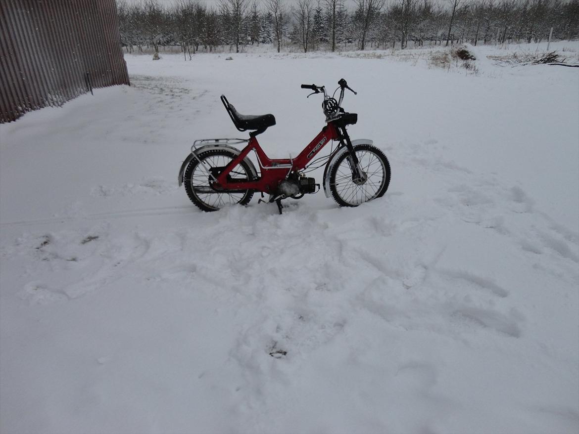 Puch Maxi k billede 11