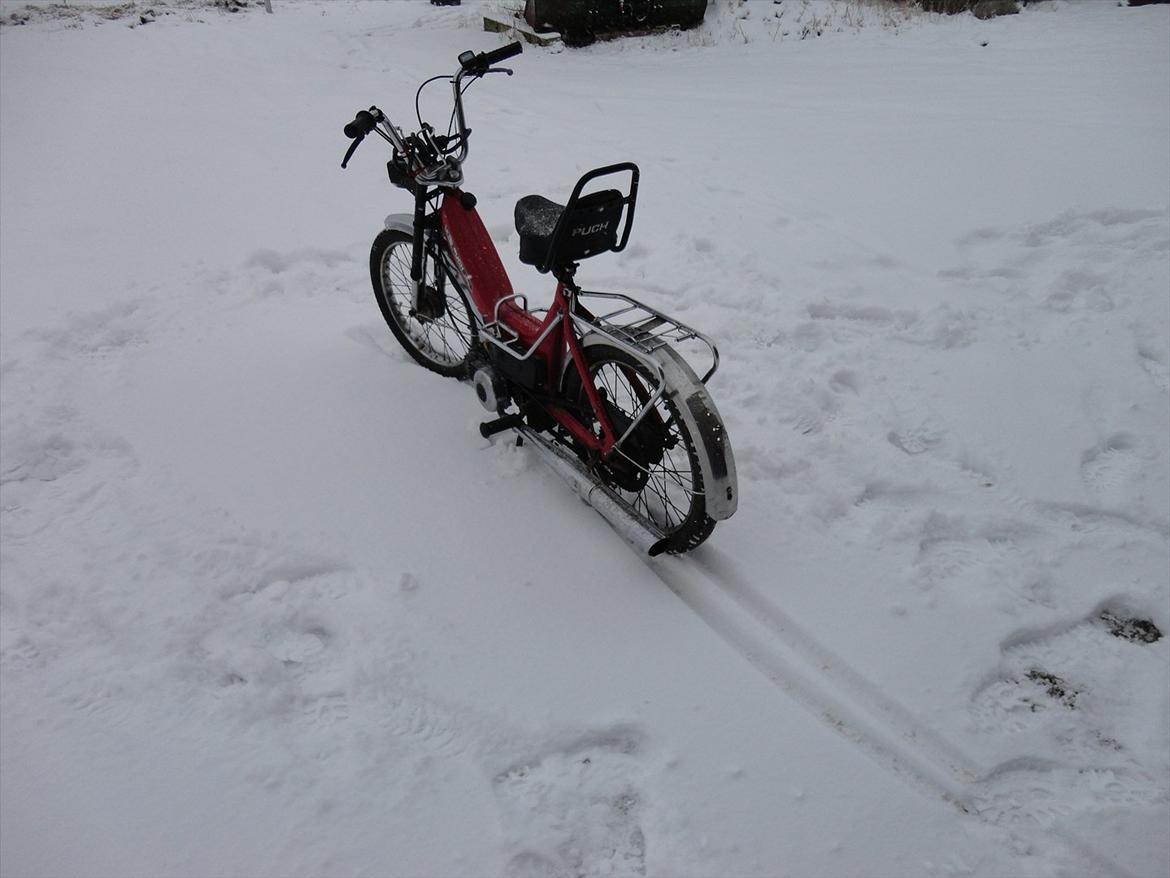 Puch Maxi k billede 12