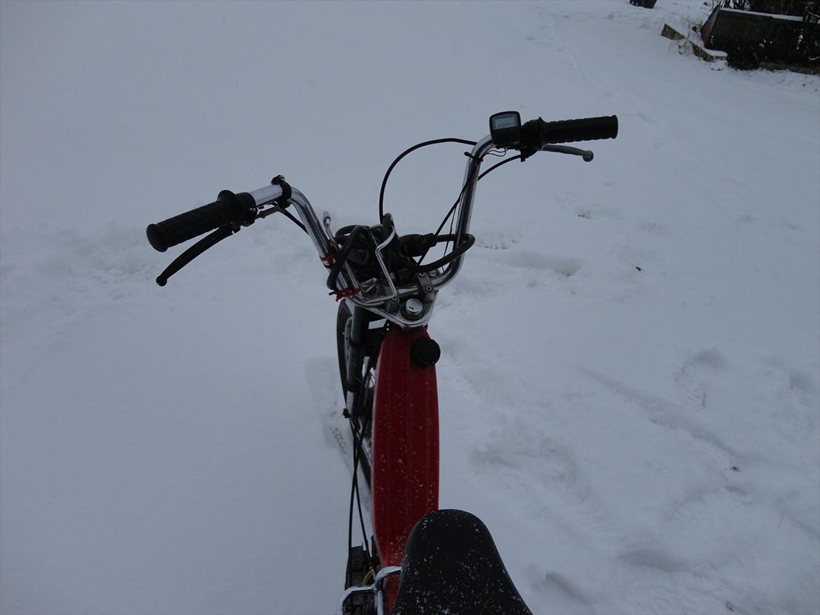 Puch Maxi k billede 13