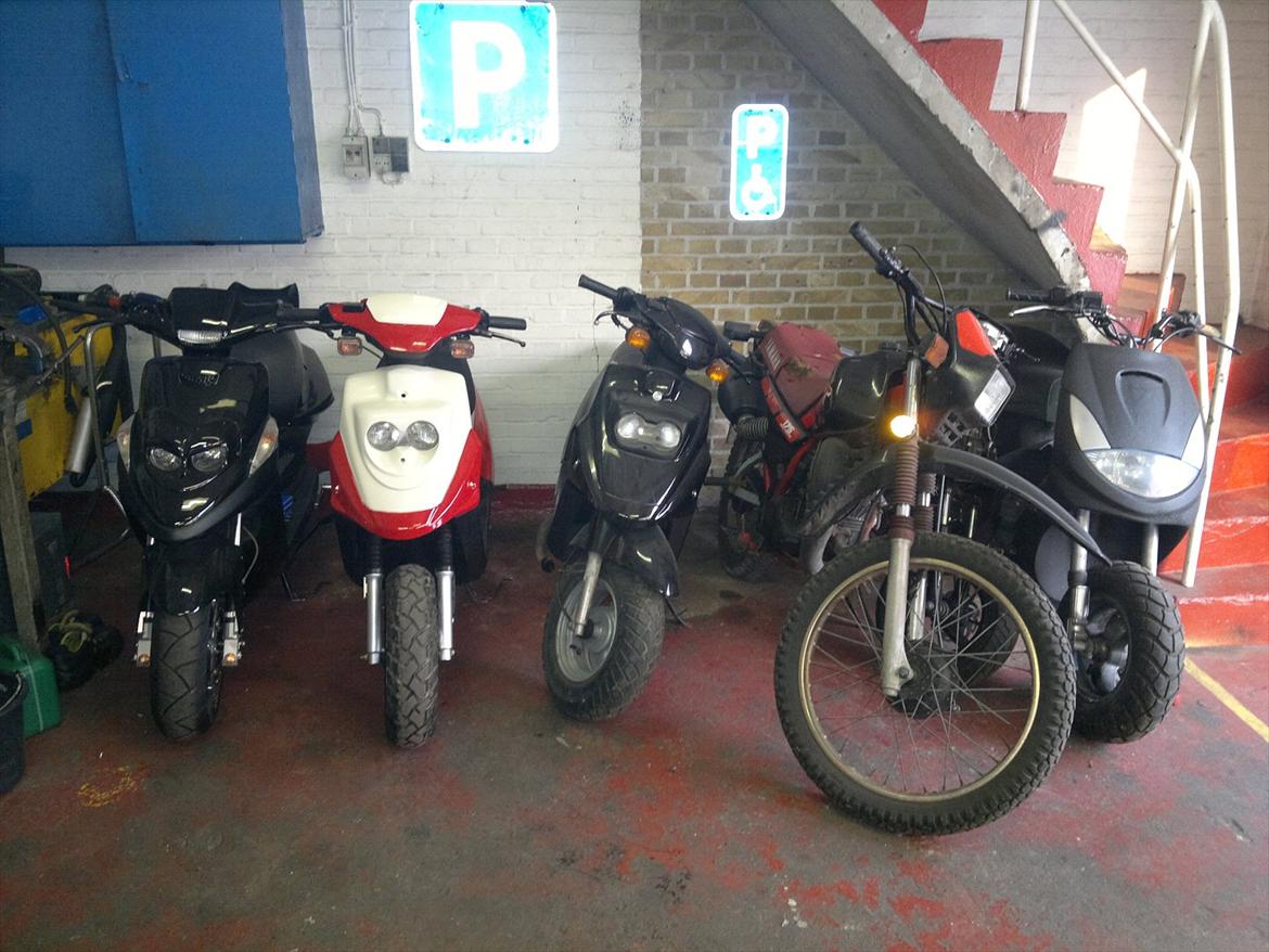 PGO Hot 50  - Den sorte hot 50 er ikke min. men ellers er resten mit..  billede 8