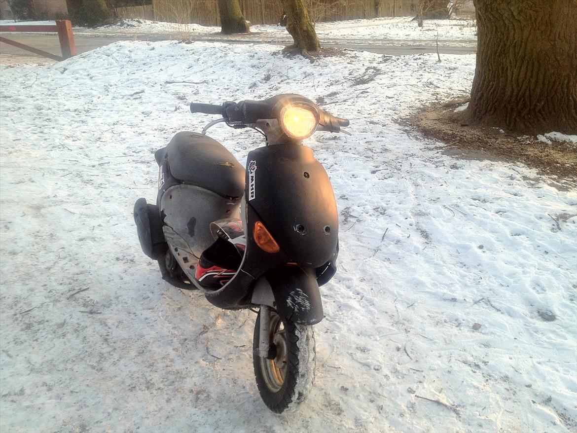 PGO rodoshow solgt billede 1
