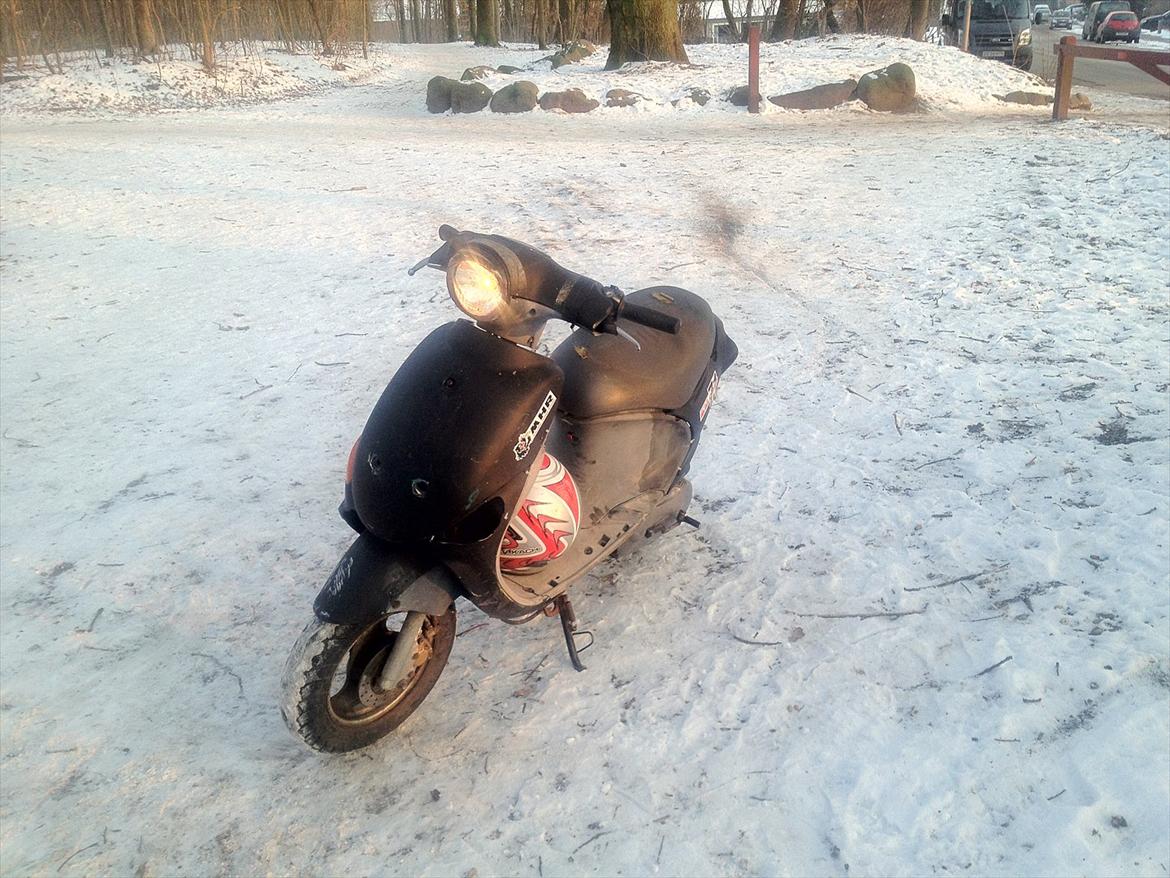PGO rodoshow solgt billede 2