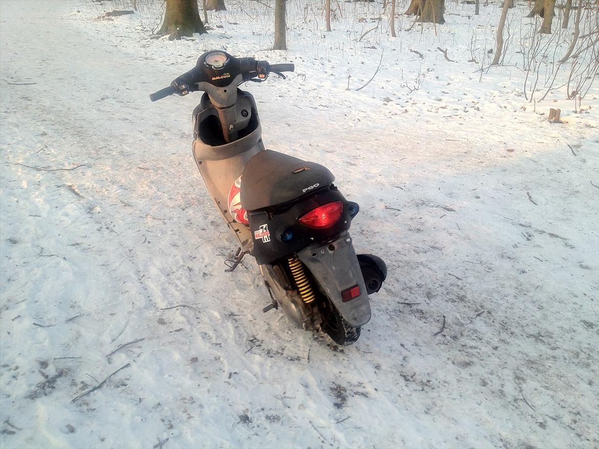 PGO rodoshow solgt billede 3