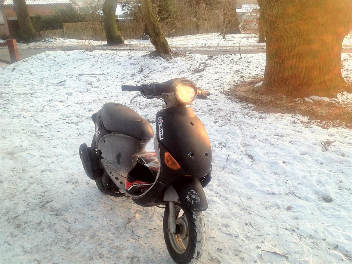PGO rodoshow solgt billede 5