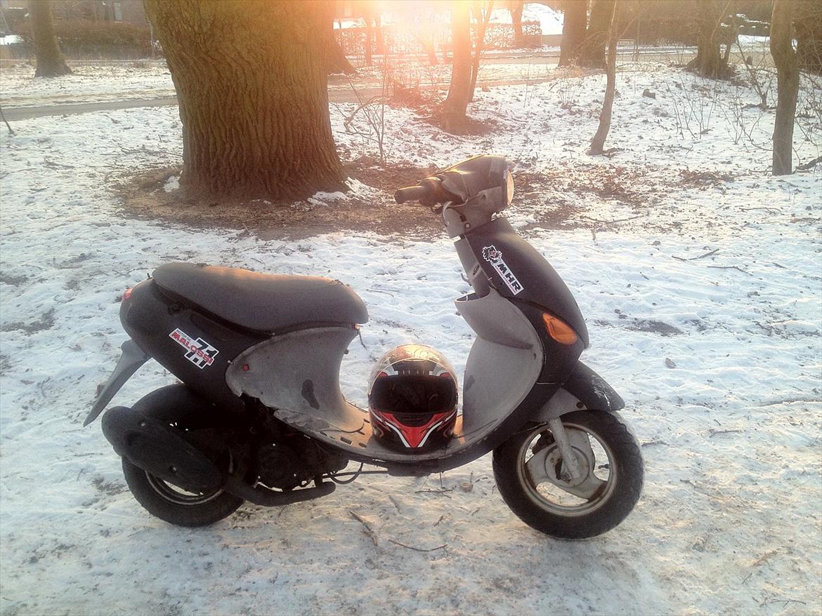 PGO rodoshow solgt billede 6