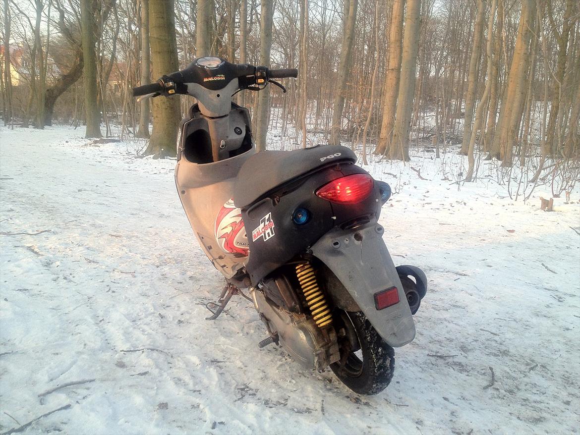 PGO rodoshow solgt billede 8