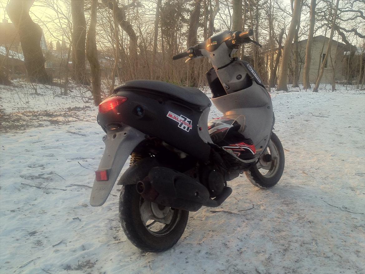 PGO rodoshow solgt billede 9
