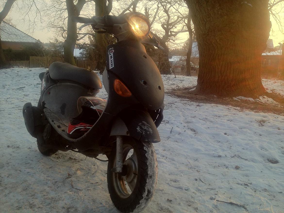 PGO rodoshow solgt billede 10