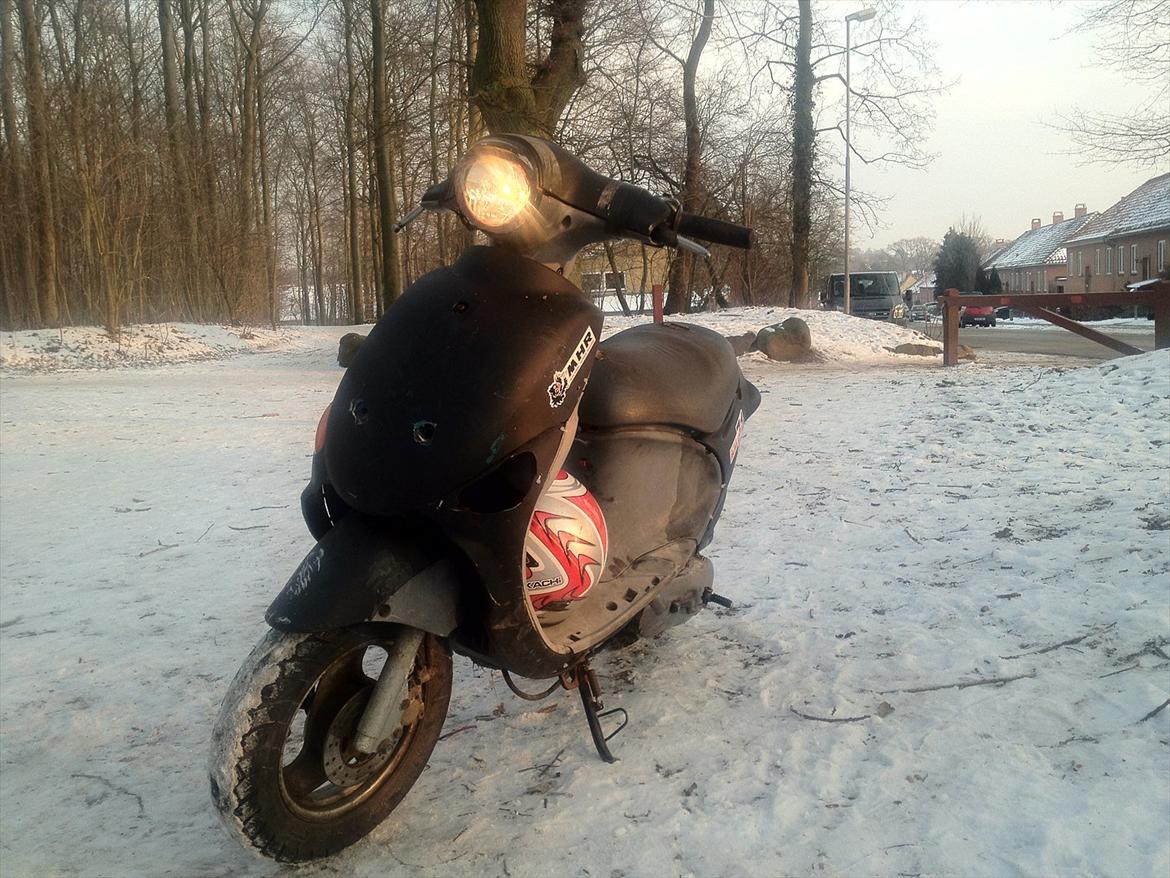 PGO rodoshow solgt billede 11