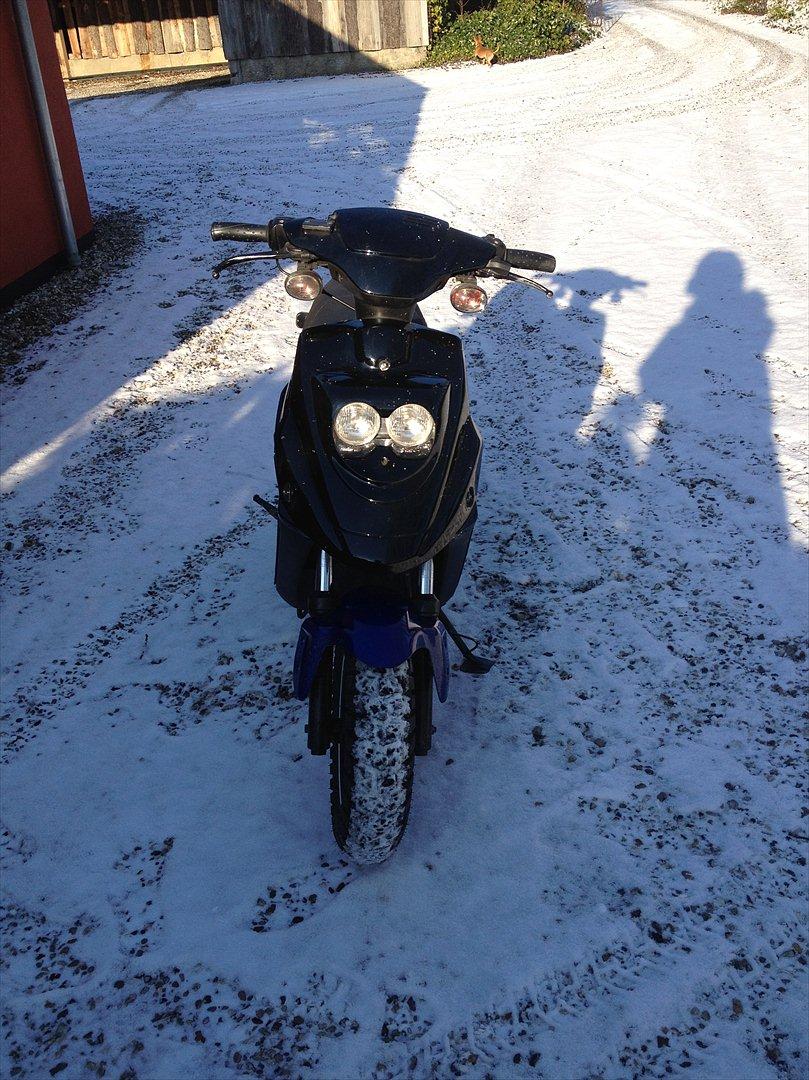 PGO Hot 50 billede 4