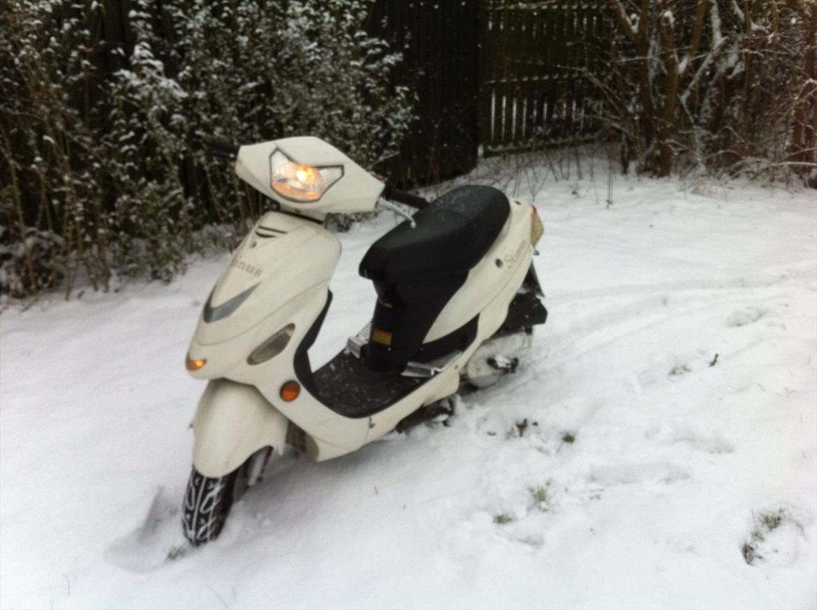 TMS Classis "stinus" billede 3