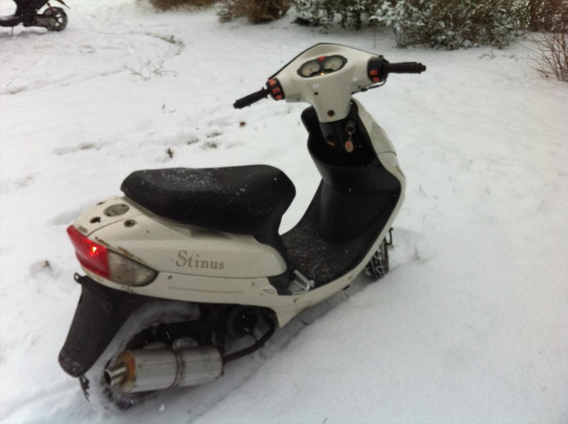 TMS Classis "stinus" billede 7