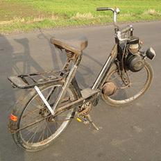 Velo solex 3800 Projekt