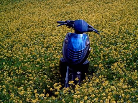 Aprilia sonic ac * Til salg  billede 1