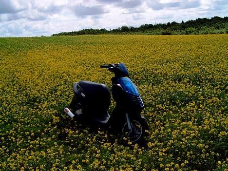 Aprilia sonic ac * Til salg  billede 2