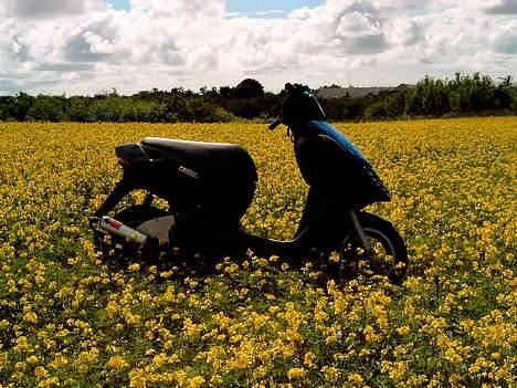 Aprilia sonic ac * Til salg  billede 4