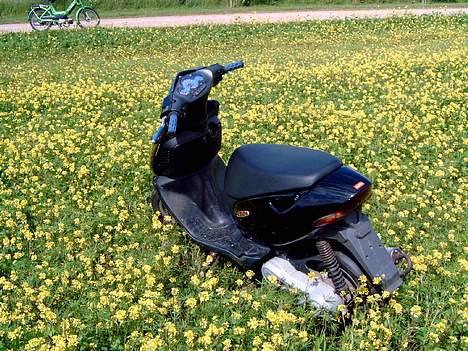 Aprilia sonic ac * Til salg  billede 6
