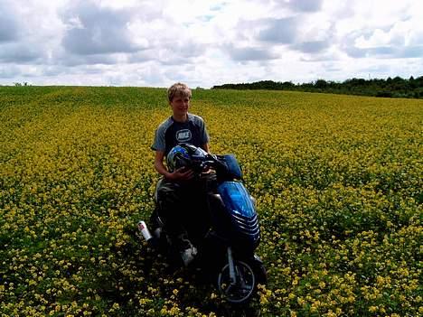 Aprilia sonic ac * Til salg  billede 7