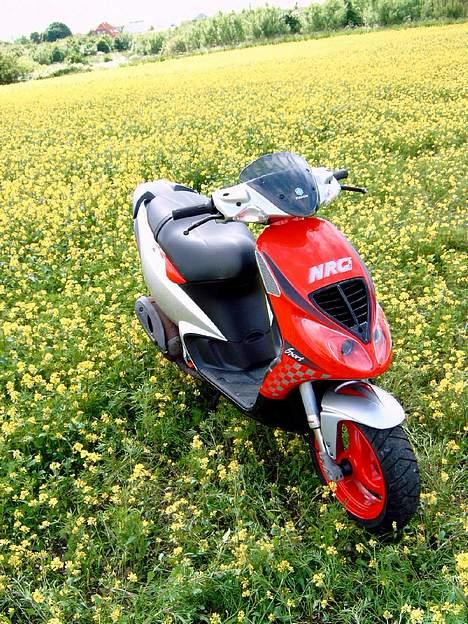 Piaggio NRG mc3 *solgt* billede 1