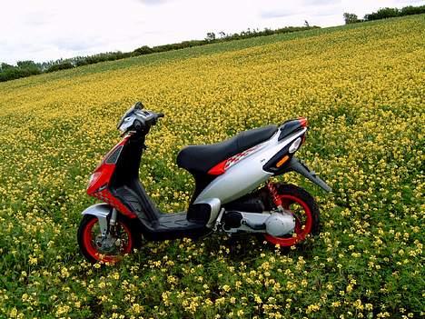 Piaggio NRG mc3 *solgt* billede 2