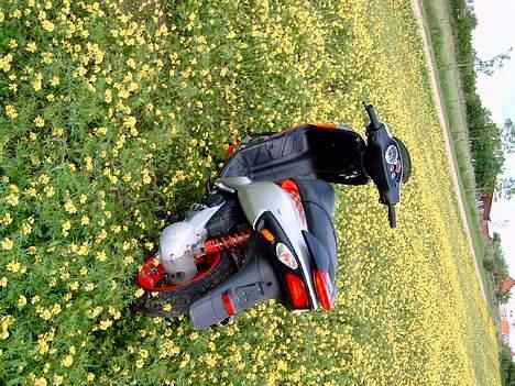 Piaggio NRG mc3 *solgt* billede 3