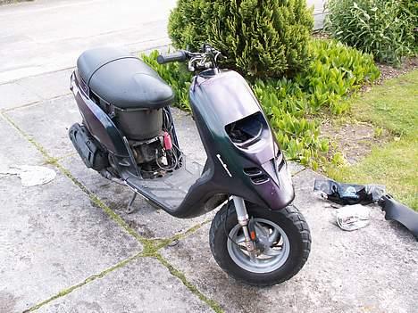 Piaggio typhoon (SOLGT) billede 2