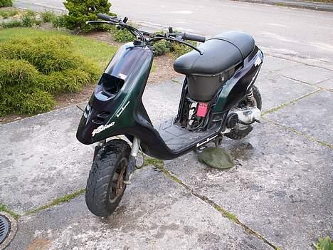 Piaggio typhoon (SOLGT) billede 3