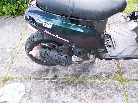 Piaggio typhoon (SOLGT) billede 6