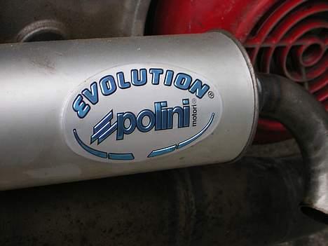 Yamaha jog as( solgt ) - min polini evo potte...den er bare dejlig og den brøler når den for gas:P billede 7