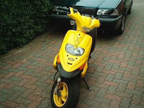 Aprilia Rally LC billede 11