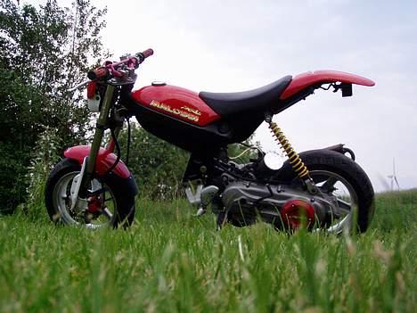 Suzuki Street magic  billede 1